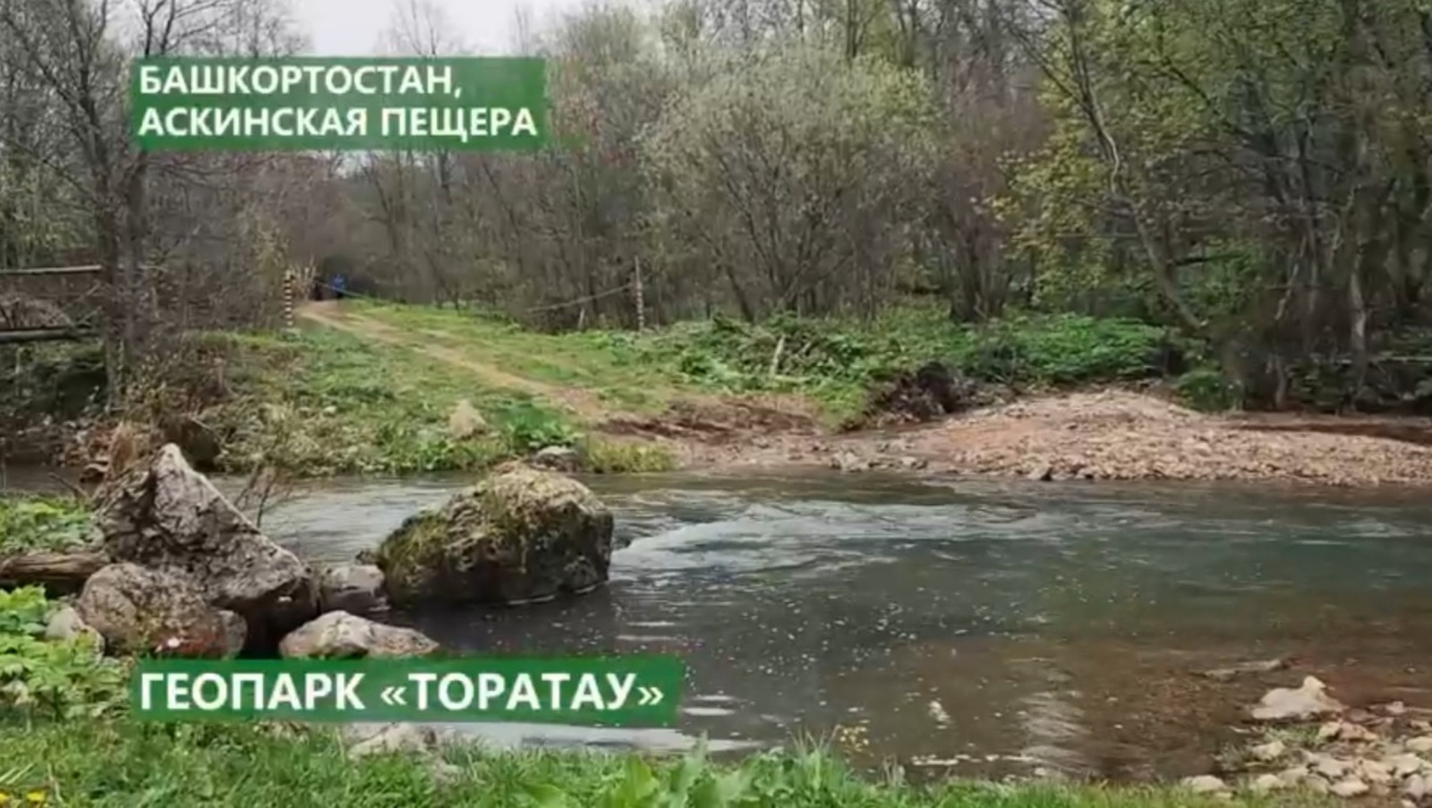 Сезон арасында кырмыскалыларга кайда барырга?